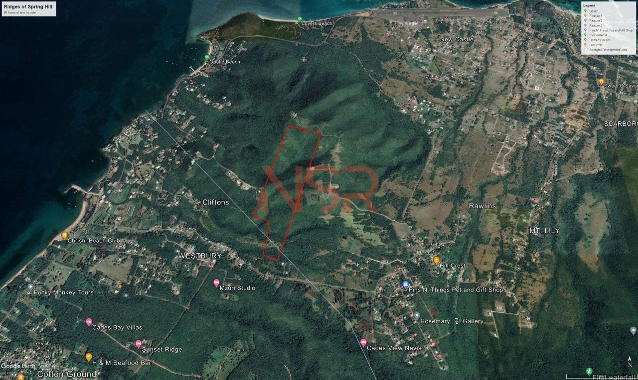 Ridges of Spring Hill 80 Acres Development Land